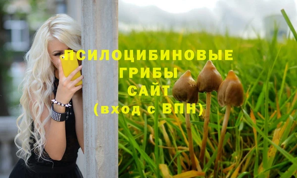 гашиш Белокуриха