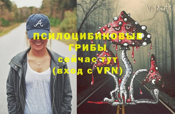 гашиш Белокуриха