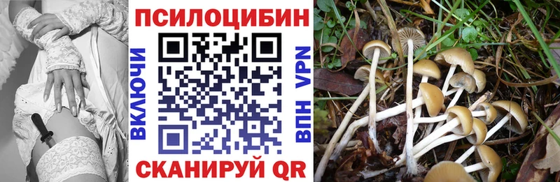 даркнет сайт  блэк спрут как зайти  Галлюциногенные грибы Psilocybe  Вуктыл 